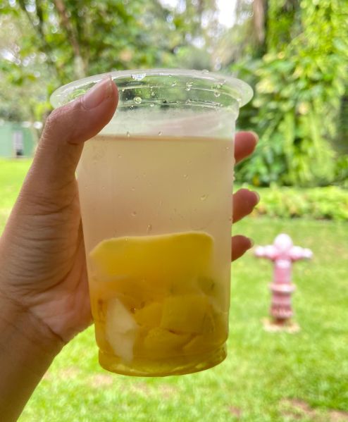 Berkas:Manisan pala yang di kombinasikan dengan manisan mangga; di dokumentasikan oleh Irma Riswanti.jpg