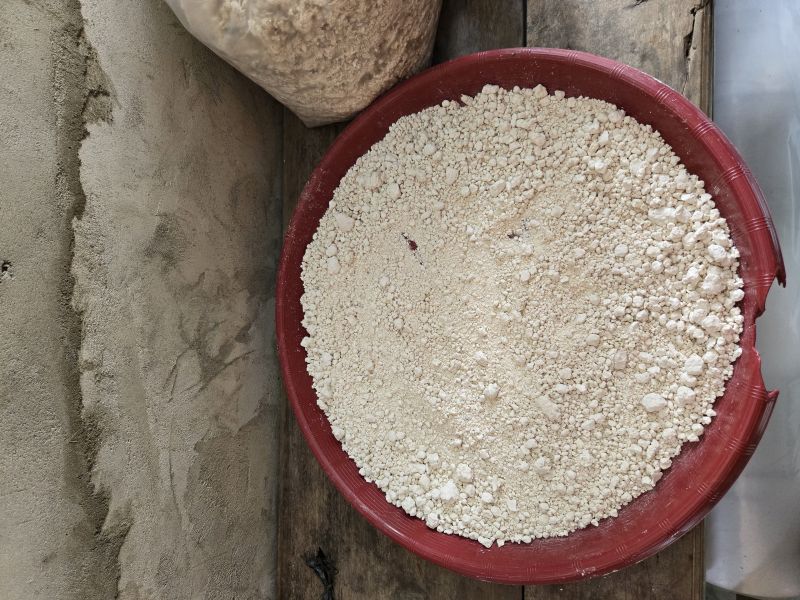 Berkas:Sagu Oleh Balgies Devi Fortuna.jpg