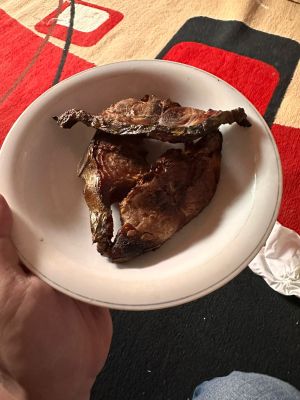 WhatsApp Image 2026-02-07 at 19.27.47.jpg