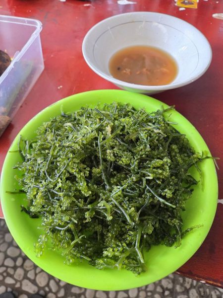 Berkas:Lawi-lawi yang sudah diolah.jpg