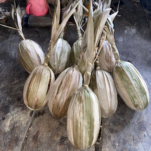 Berkas:Gula arenn.jpg