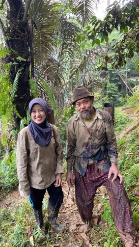Petani aren