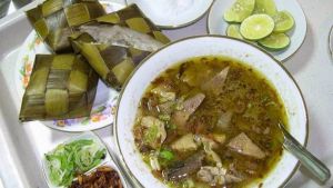 Coto kuda.jpg