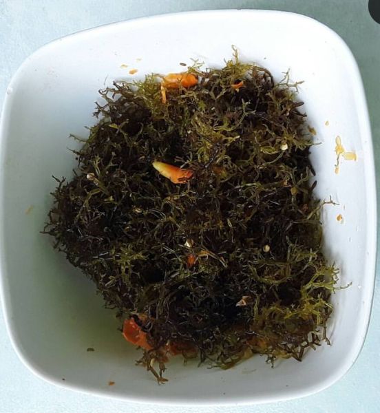 Berkas:Tengalulu.jpg