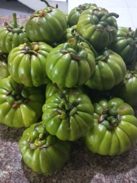 Berkas:Buah Asam Gelugur Muda.jpg
