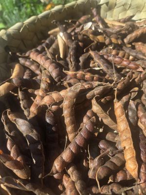 Arbila kering (Foto oleh Balgies Devi Fortuna)