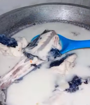 Ikan ambu Mandar-Aura Ciepuzt.png