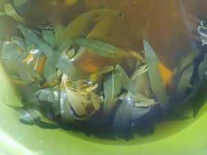 Kaju' parapa-Andi Tenri Pada.jpg