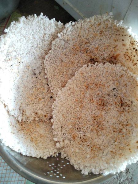 Berkas:Kalumpang rombia-Ella Adam.jpg