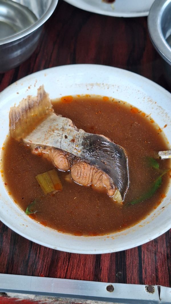 Ikan patin - WikiPangan